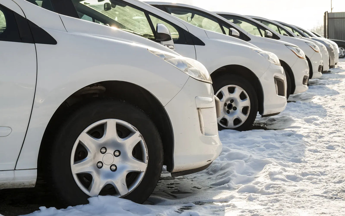 A row of white fleet cars parked in a snowy lot